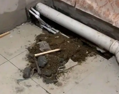 福鼎卫生间漏水检测哪家好